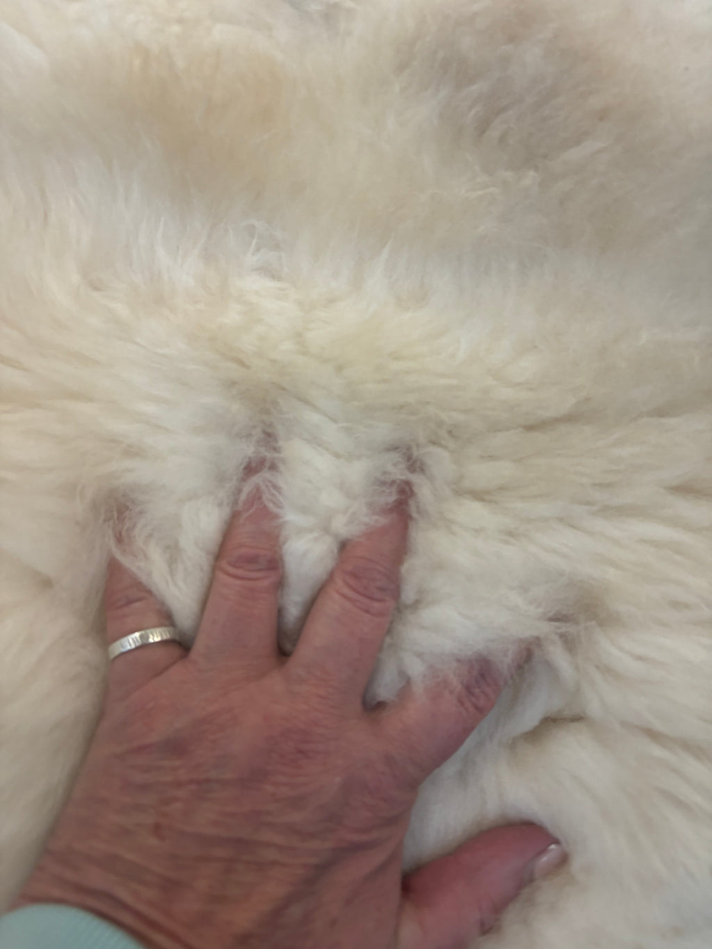 Sheepskin rug