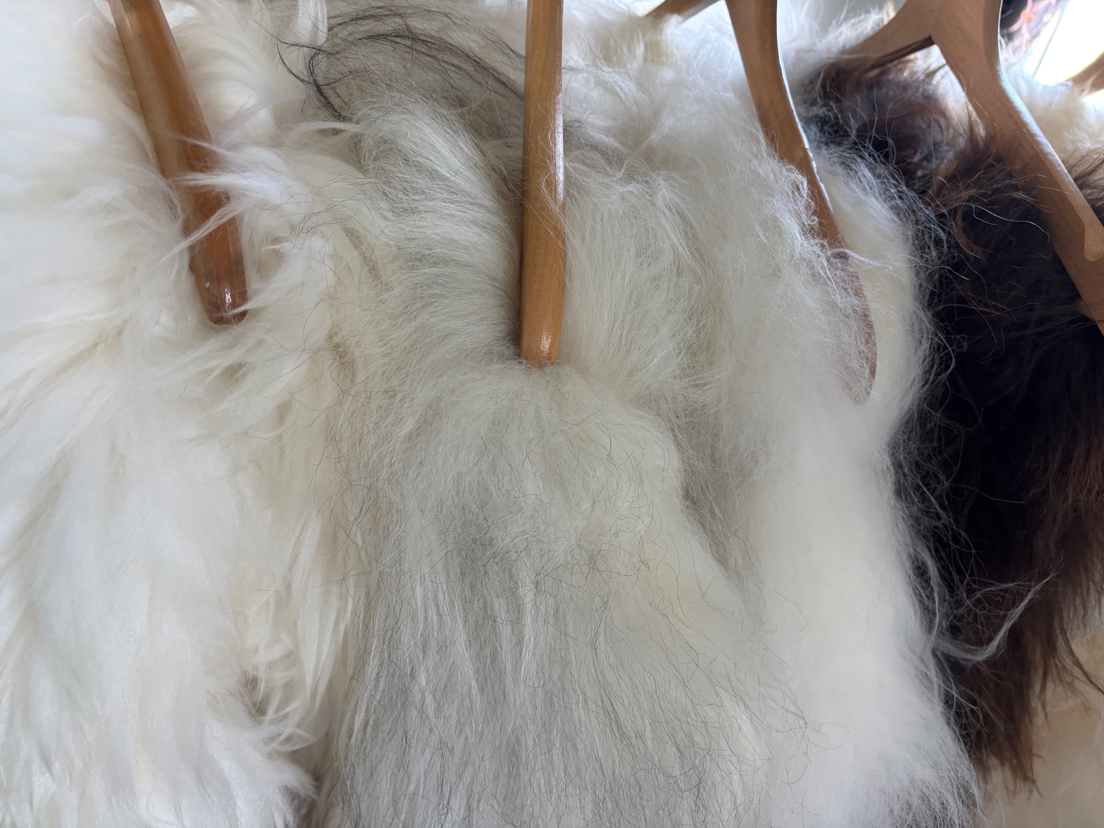 Sheepskin rug